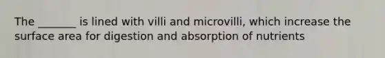 The _______ is lined with villi and microvilli, which increase the surface area for digestion and absorption of nutrients