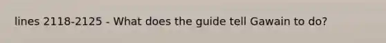 lines 2118-2125 - What does the guide tell Gawain to do?