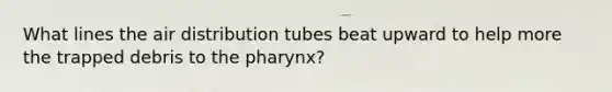 What lines the air distribution tubes beat upward to help more the trapped debris to the pharynx?