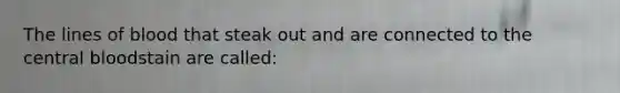 The lines of blood that steak out and are connected to the central bloodstain are called: