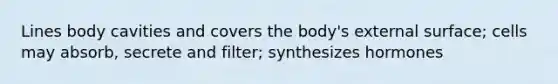 Lines body cavities and covers the body's external surface; cells may absorb, secrete and filter; synthesizes hormones