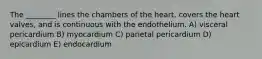 The ________ lines the chambers of the heart, covers the heart valves, and is continuous with the endothelium. A) visceral pericardium B) myocardium C) parietal pericardium D) epicardium E) endocardium