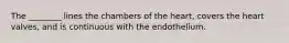 The ________ lines the chambers of the heart, covers the heart valves, and is continuous with the endothelium.