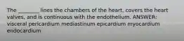 The ________ lines the chambers of the heart, covers the heart valves, and is continuous with the endothelium. ANSWER: visceral pericardium mediastinum epicardium myocardium endocardium