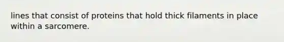 lines that consist of proteins that hold thick filaments in place within a sarcomere.