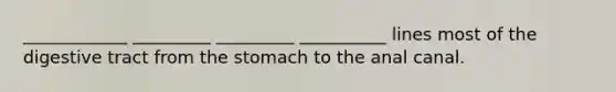 ____________ _________ _________ __________ lines most of the digestive tract from the stomach to the anal canal.