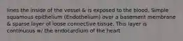 lines the inside of the vessel & is exposed to the blood. Simple squamous epithelium (Endothelium) over a basement membrane & sparse layer of loose connective tissue. This layer is continuous w/ the endocardium of the heart