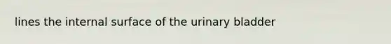 lines the internal surface of the urinary bladder