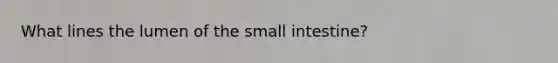 What lines the lumen of the small intestine?