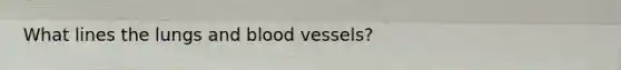 What lines the lungs and blood vessels?