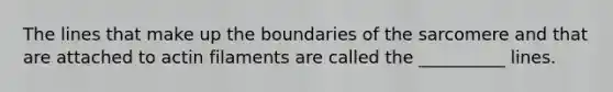 The lines that make up the boundaries of the sarcomere and that are attached to actin filaments are called the __________ lines.