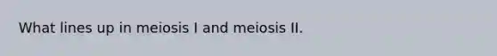 What lines up in meiosis I and meiosis II.