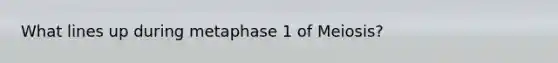 What lines up during metaphase 1 of Meiosis?