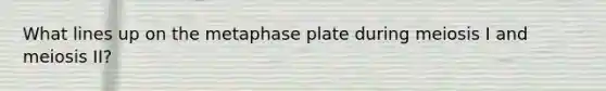 What lines up on the metaphase plate during meiosis I and meiosis II?