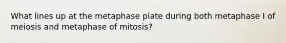 What lines up at the metaphase plate during both metaphase I of meiosis and metaphase of mitosis?