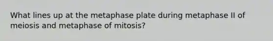 What lines up at the metaphase plate during metaphase II of meiosis and metaphase of mitosis?