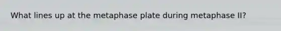 What lines up at the metaphase plate during metaphase II?