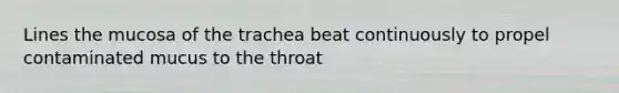 Lines the mucosa of the trachea beat continuously to propel contaminated mucus to the throat