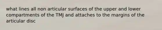 what lines all non articular surfaces of the upper and lower compartments of the TMJ and attaches to the margins of the articular disc