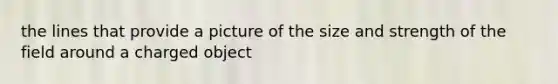 the lines that provide a picture of the size and strength of the field around a charged object