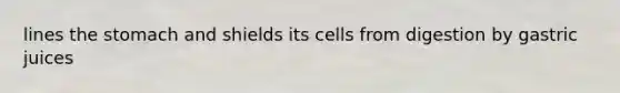 lines the stomach and shields its cells from digestion by gastric juices