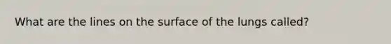 What are the lines on the surface of the lungs called?