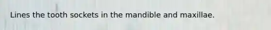 Lines the tooth sockets in the mandible and maxillae.