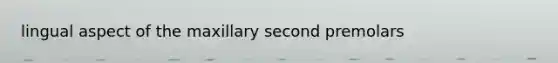 lingual aspect of the maxillary second premolars