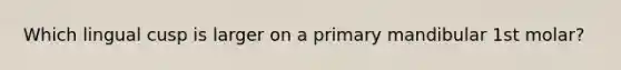 Which lingual cusp is larger on a primary mandibular 1st molar?