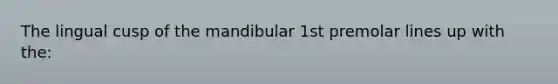 The lingual cusp of the mandibular 1st premolar lines up with the: