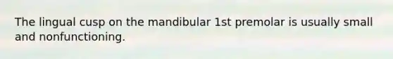 The lingual cusp on the mandibular 1st premolar is usually small and nonfunctioning.