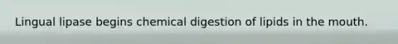 Lingual lipase begins chemical digestion of lipids in the mouth.