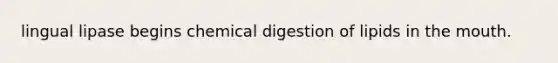 lingual lipase begins chemical digestion of lipids in the mouth.