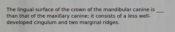 The lingual surface of the crown of the mandibular canine is ___ than that of the maxillary canine; it consists of a less well-developed cingulum and two marginal ridges.