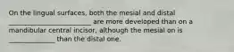 On the lingual surfaces, both the mesial and distal _________________________ are more developed than on a mandibular central incisor, although the mesial on is ______________ than the distal one.