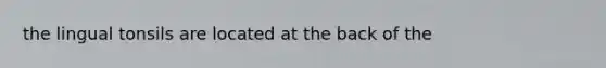 the lingual tonsils are located at the back of the