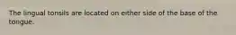 The lingual tonsils are located on either side of the base of the tongue.