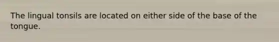 The lingual tonsils are located on either side of the base of the tongue.