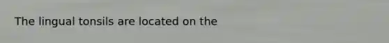 The lingual tonsils are located on the