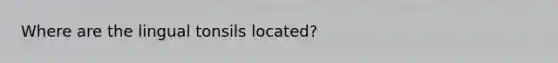 Where are the lingual tonsils located?