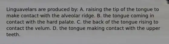 Linguavelars are produced by: A. raising the tip of the tongue to make contact with the alveolar ridge. B. the tongue coming in contact with the hard palate. C. the back of the tongue rising to contact the velum. D. the tongue making contact with the upper teeth.