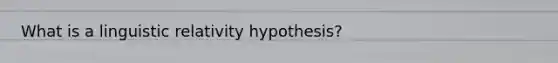 What is a linguistic relativity hypothesis?