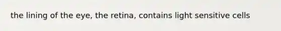 the lining of the eye, the retina, contains light sensitive cells