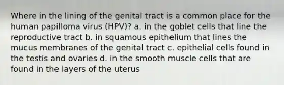 Where in the lining of the genital tract is a common place for the human papilloma virus (HPV)? a. in the goblet cells that line the reproductive tract b. in squamous epithelium that lines the mucus membranes of the genital tract c. epithelial cells found in the testis and ovaries d. in the smooth muscle cells that are found in the layers of the uterus