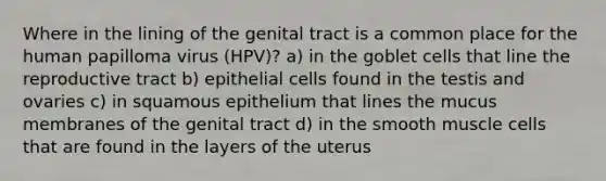 Where in the lining of the genital tract is a common place for the human papilloma virus (HPV)? a) in the goblet cells that line the reproductive tract b) epithelial cells found in the testis and ovaries c) in squamous epithelium that lines the mucus membranes of the genital tract d) in the smooth muscle cells that are found in the layers of the uterus