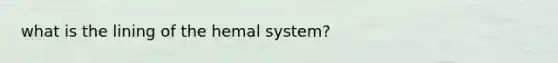 what is the lining of the hemal system?