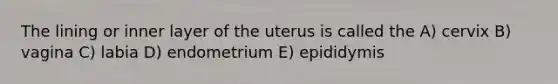 The lining or inner layer of the uterus is called the A) cervix B) vagina C) labia D) endometrium E) epididymis