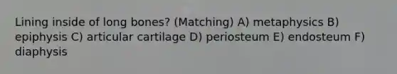 Lining inside of long bones? (Matching) A) metaphysics B) epiphysis C) articular cartilage D) periosteum E) endosteum F) diaphysis