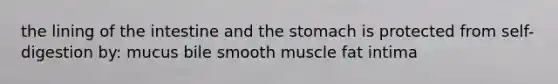 the lining of the intestine and <a href='https://www.questionai.com/knowledge/kLccSGjkt8-the-stomach' class='anchor-knowledge'>the stomach</a> is protected from self-digestion by: mucus bile smooth muscle fat intima