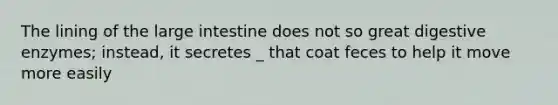 The lining of the large intestine does not so great digestive enzymes; instead, it secretes _ that coat feces to help it move more easily